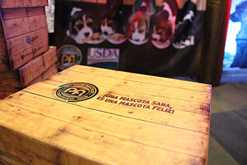 Quattro Agencia BTL - Expo Can